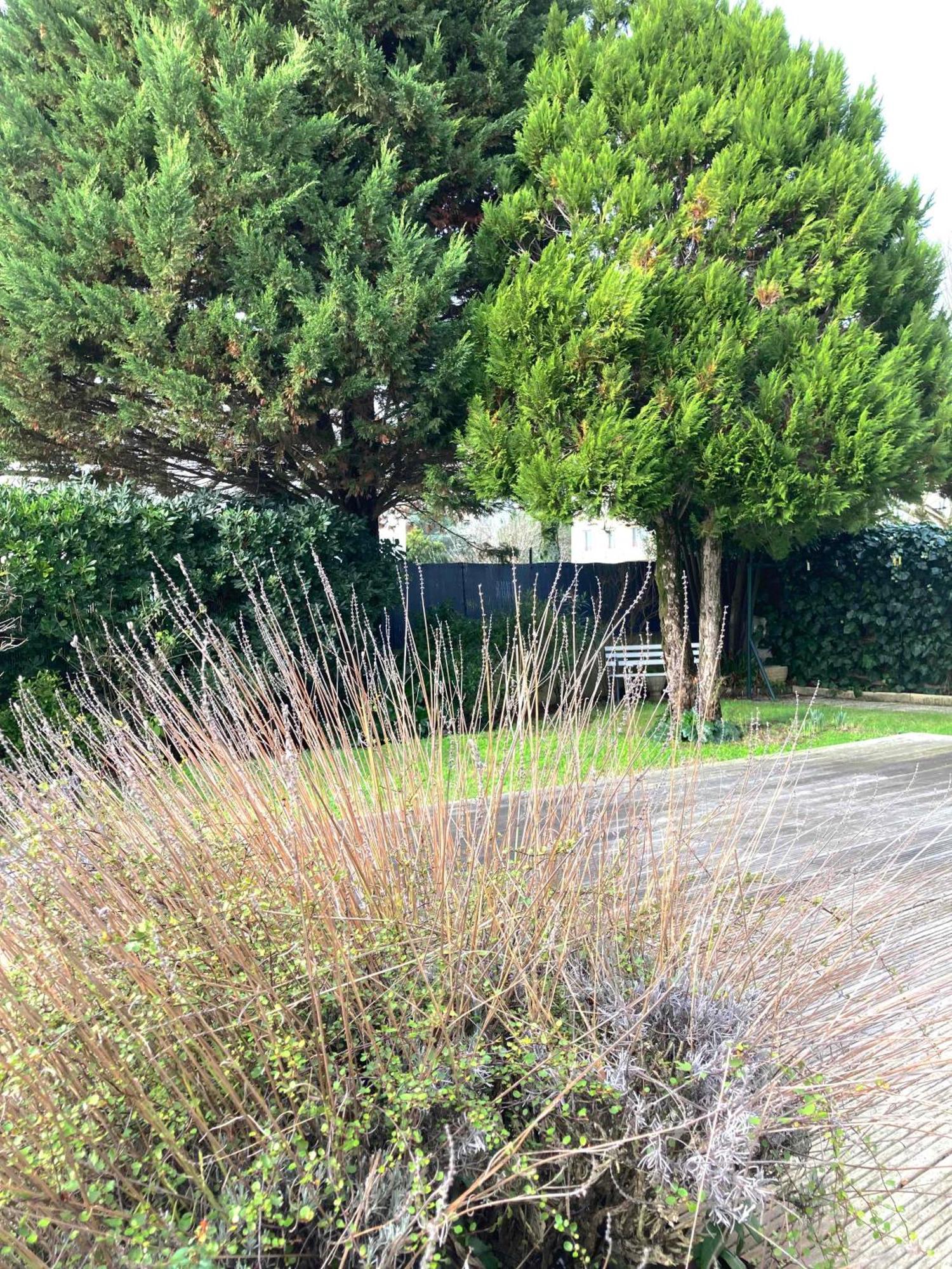 Maison Centre Ville Avec Jardin , Terrasse, Et Garage Velos La Rochelle  Esterno foto